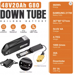 Batterie 48v 20 ah G80...