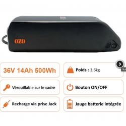 Batterie 36v 500wh carence zoo